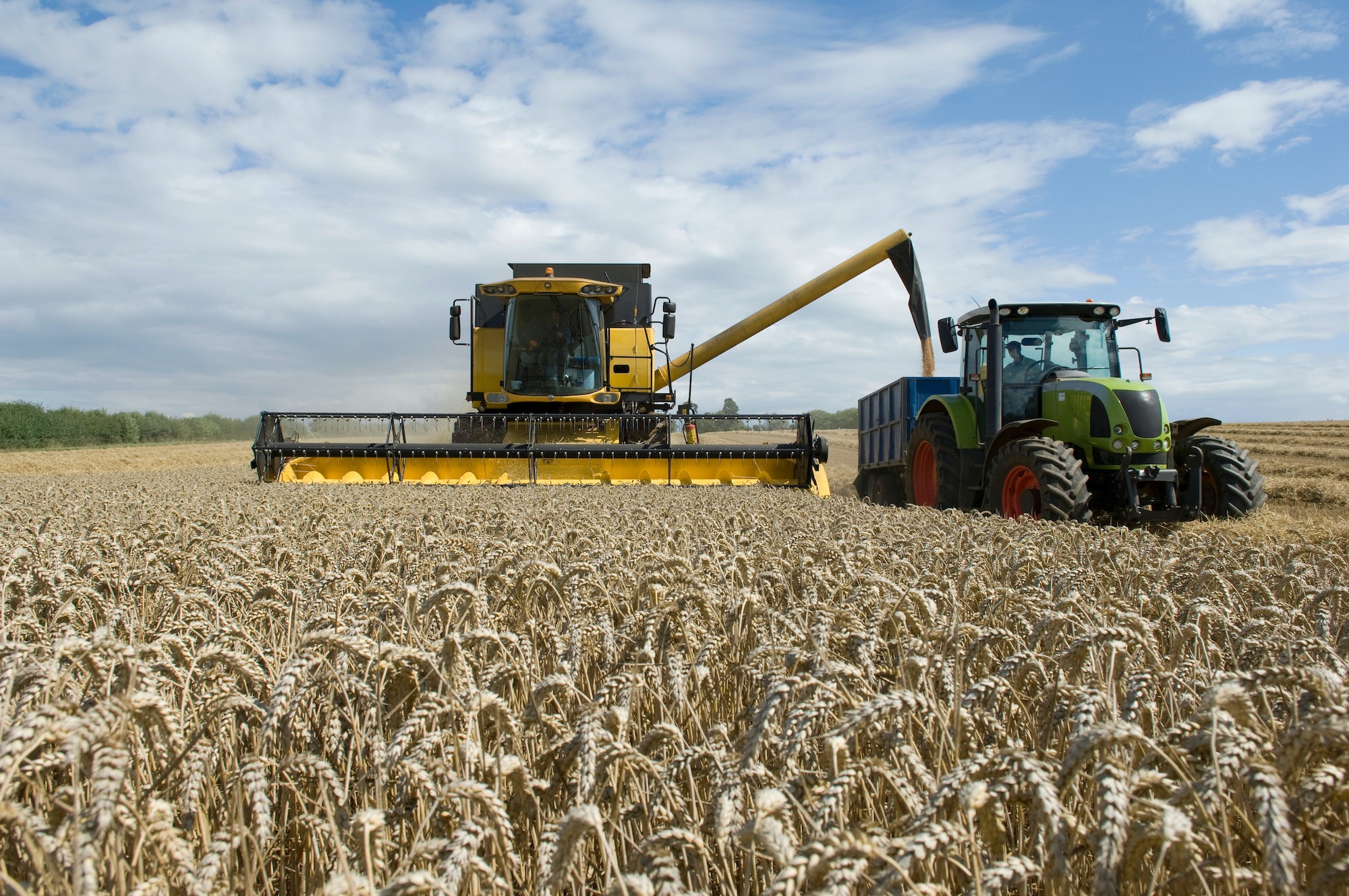 combine-harvester-unloading-wheat.jpg